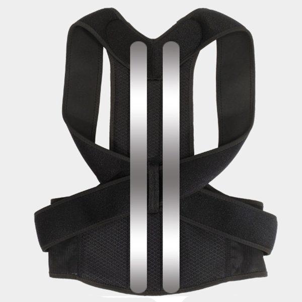 Posture Belt
